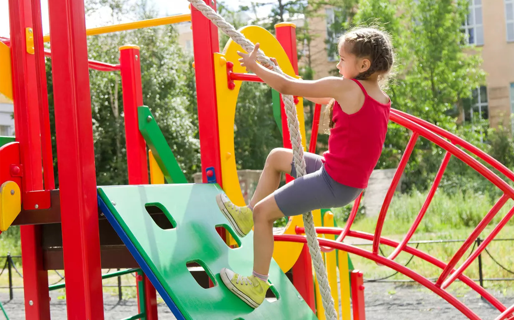 Garden toy checklist